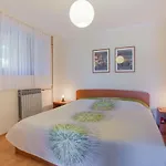 Apartament Ljubo & Lili
